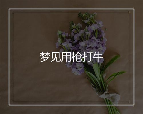 梦见用枪打牛