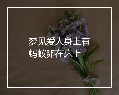 梦见爱人身上有蚂蚁卵在床上