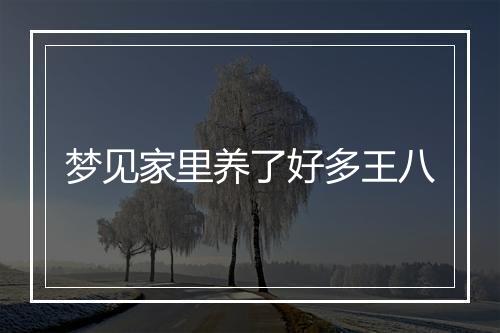 梦见家里养了好多王八