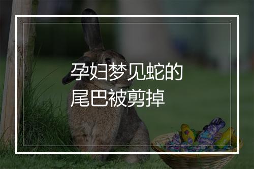 孕妇梦见蛇的尾巴被剪掉