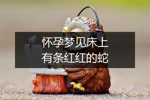 怀孕梦见床上有条红红的蛇