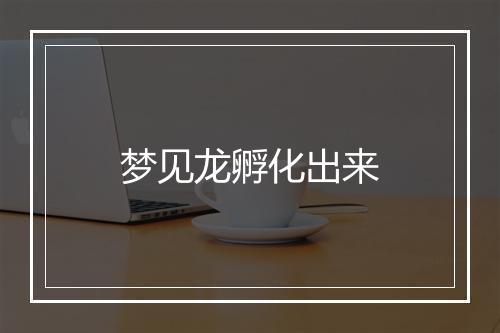 梦见龙孵化出来