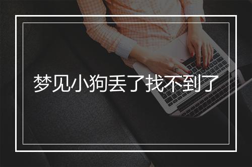 梦见小狗丢了找不到了