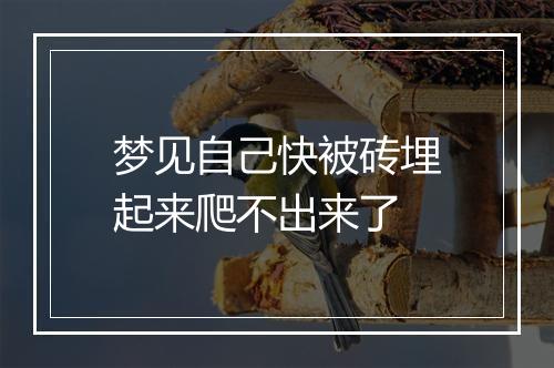 梦见自己快被砖埋起来爬不出来了