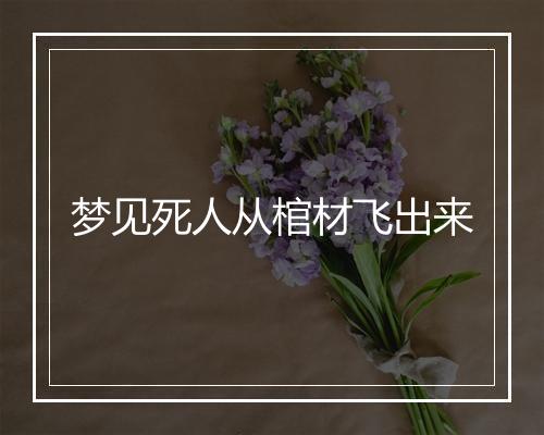 梦见死人从棺材飞出来