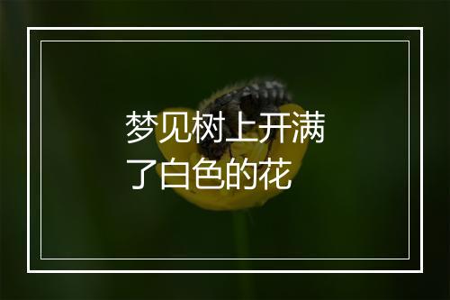 梦见树上开满了白色的花