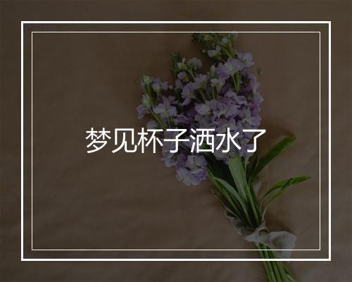 梦见杯子洒水了