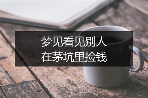 梦见看见别人在茅坑里捡钱