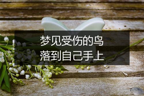 梦见受伤的鸟落到自己手上