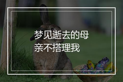 梦见逝去的母亲不搭理我