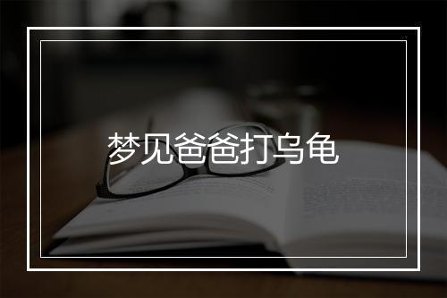 梦见爸爸打乌龟