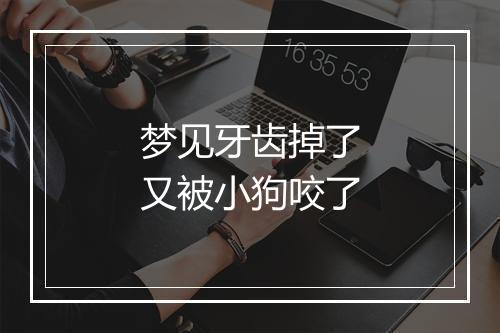 梦见牙齿掉了又被小狗咬了