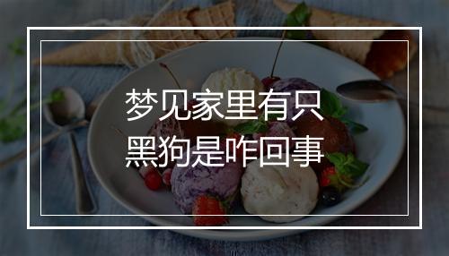 梦见家里有只黑狗是咋回事