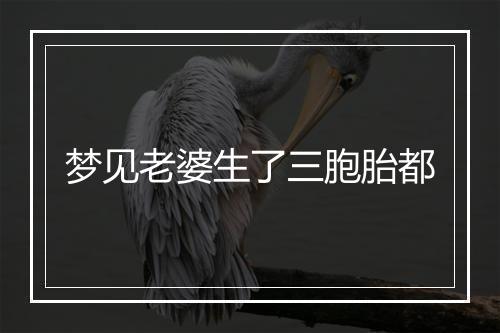 梦见老婆生了三胞胎都