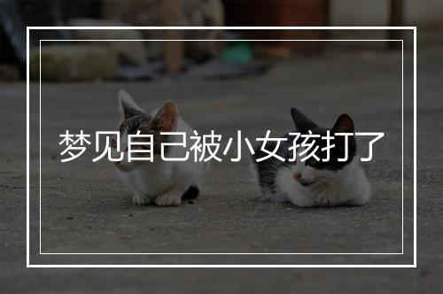 梦见自己被小女孩打了