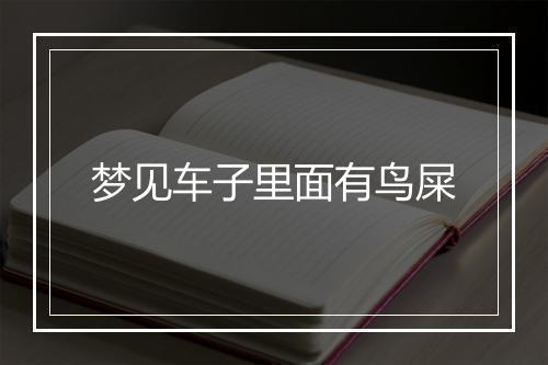 梦见车子里面有鸟屎