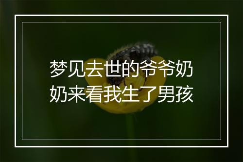 梦见去世的爷爷奶奶来看我生了男孩