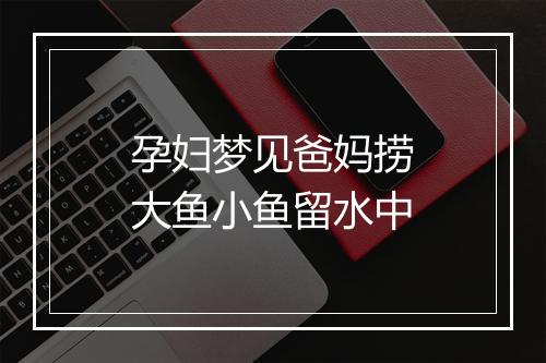 孕妇梦见爸妈捞大鱼小鱼留水中