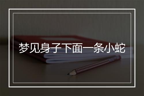 梦见身子下面一条小蛇