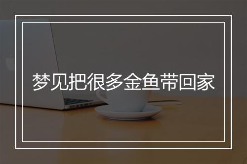 梦见把很多金鱼带回家