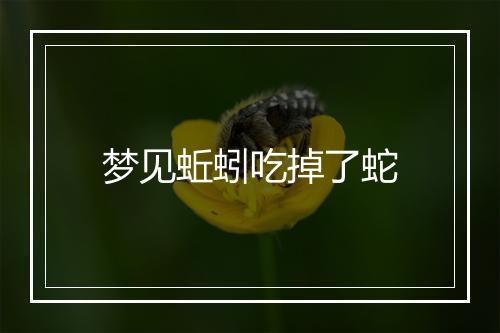 梦见蚯蚓吃掉了蛇