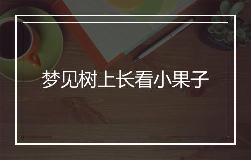 梦见树上长看小果子