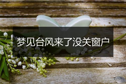 梦见台风来了没关窗户