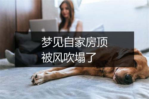 梦见自家房顶被风吹塌了