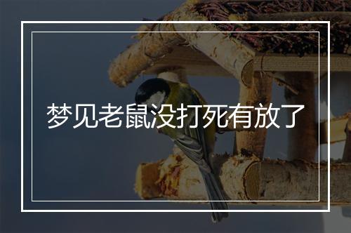 梦见老鼠没打死有放了