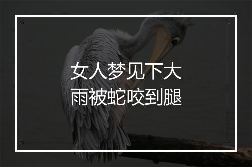 女人梦见下大雨被蛇咬到腿