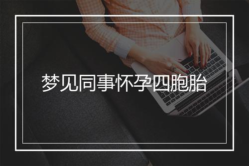 梦见同事怀孕四胞胎