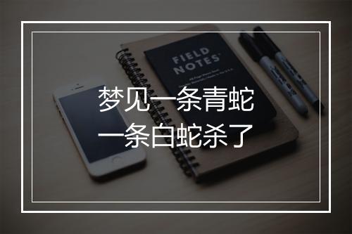 梦见一条青蛇一条白蛇杀了