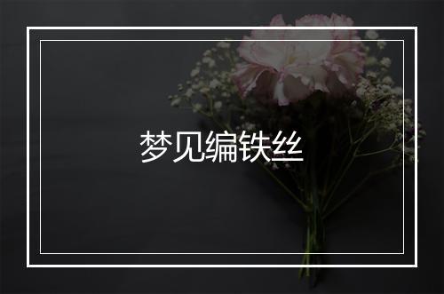 梦见编铁丝