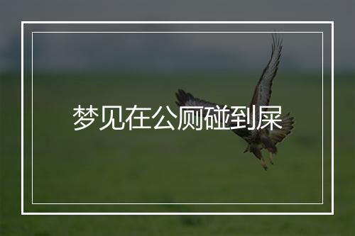 梦见在公厕碰到屎