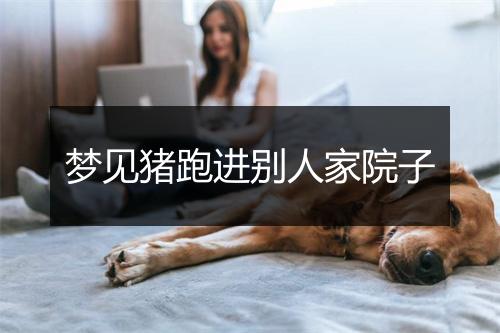 梦见猪跑进别人家院子