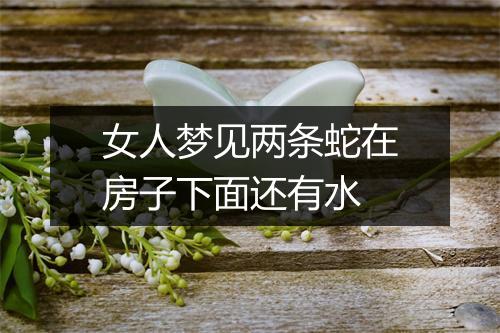 女人梦见两条蛇在房子下面还有水