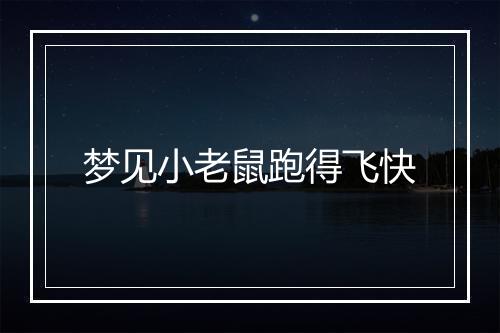 梦见小老鼠跑得飞快