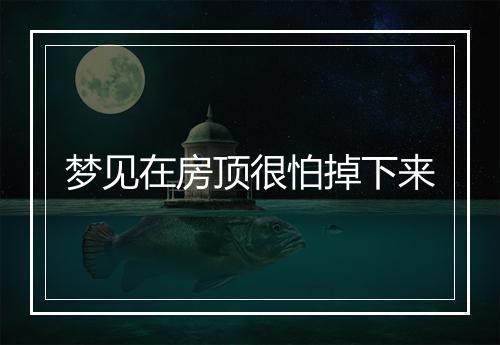 梦见在房顶很怕掉下来