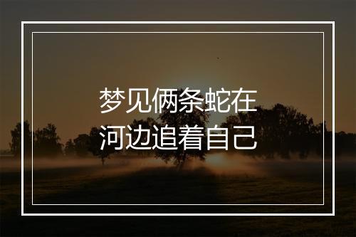 梦见俩条蛇在河边追着自己