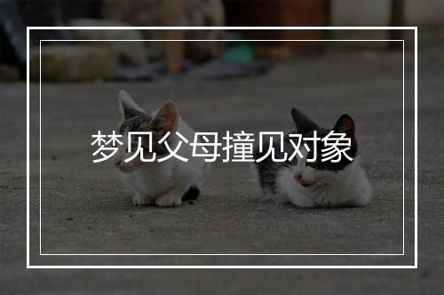 梦见父母撞见对象