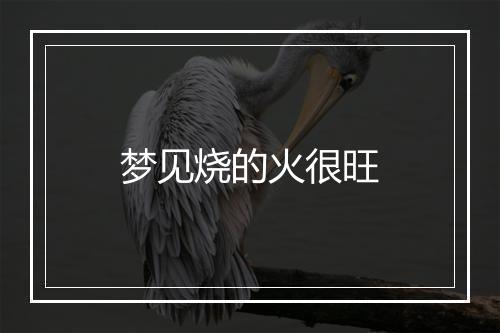 梦见烧的火很旺