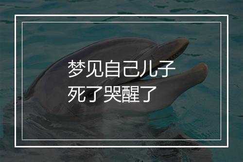 梦见自己儿子死了哭醒了