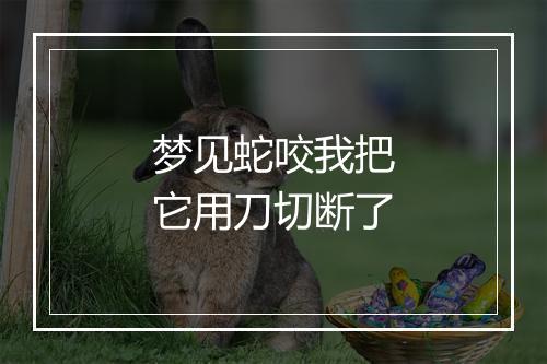 梦见蛇咬我把它用刀切断了