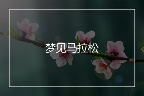 梦见马拉松