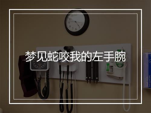 梦见蛇咬我的左手腕