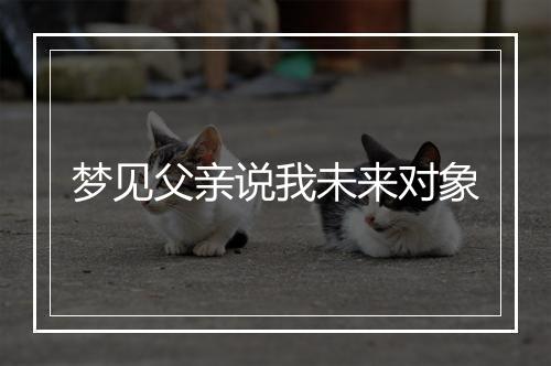 梦见父亲说我未来对象