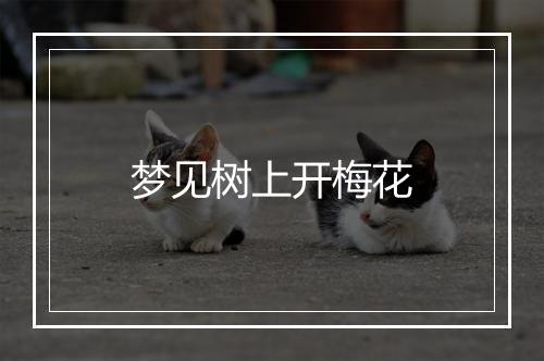 梦见树上开梅花