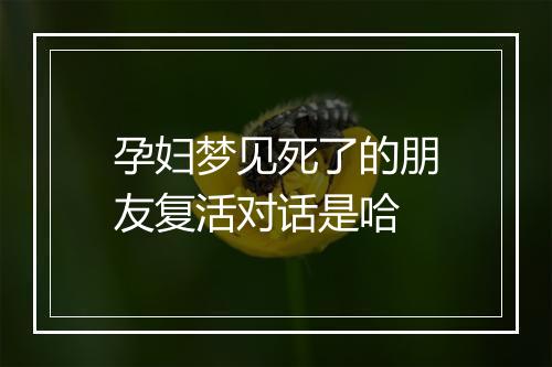 孕妇梦见死了的朋友复活对话是哈