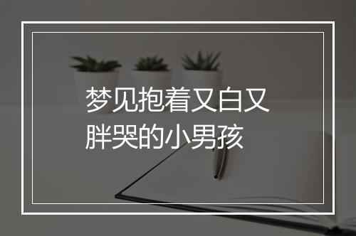 梦见抱着又白又胖哭的小男孩