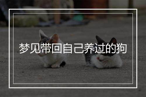 梦见带回自己养过的狗